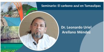 Estudia la UAT propuestas para la protección de manglares y pastos marinos
