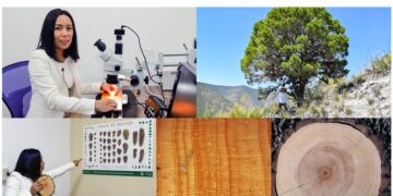 Científicos de la UAT reconstruyen la historia de sequías y cambios climáticos