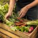 El decreto que prohibe maíz transgénico y glifosato aumentará precio de alimentos