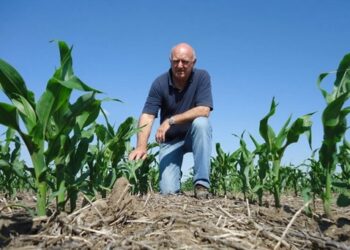 Agricultores buscan proteger sus siembras ante posibles siniestros en esta época invernal