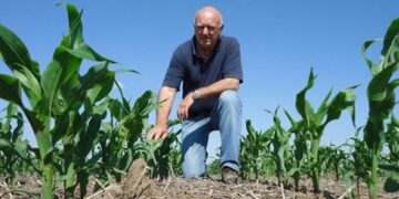 Agricultores buscan proteger sus siembras ante posibles siniestros en esta época invernal