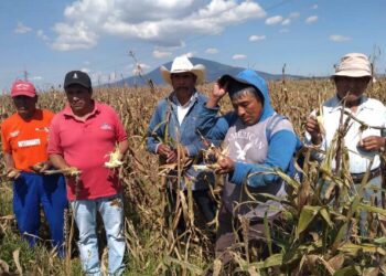 Mejores incentivos para fomentar la agricultura, solicitan productores de la zona norte