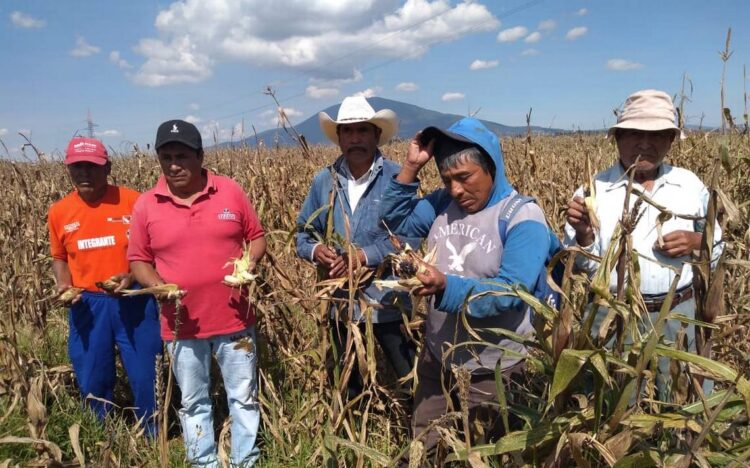 Mejores incentivos para fomentar la agricultura, solicitan productores de la zona norte