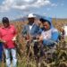 Mejores incentivos para fomentar la agricultura, solicitan productores de la zona norte