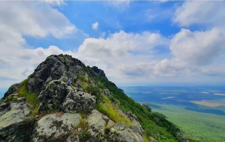 ¿Quieres escalar el Cerro del Bernal? Esto es lo que debes saber