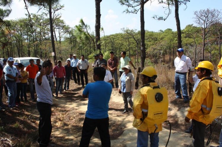 Amenazan con paro laboral empleados de la CONAFOR