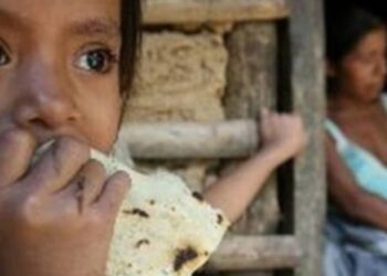 Tamaulipas presentó más de mil casos de desnutrición durante el 2022