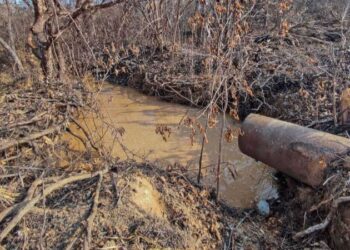 Oaxaca: Fugas de amoniaco, hedor a muerte e indolencia oficial