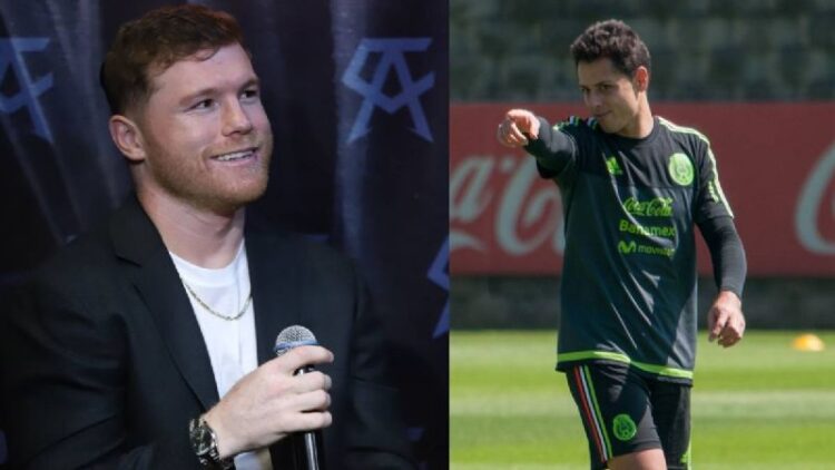 Canelo Álvarez vs Chicharito Hernández; ¿quién tiene la FORTUNA más grande?