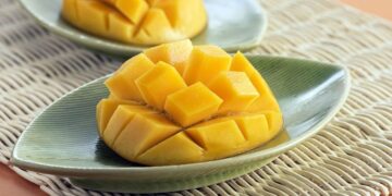 México sigue dentro los principales productores y exportadores de mango