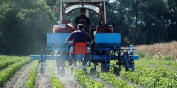 Sader: entrega de fertilizantes gratuitos llegará a todo el país