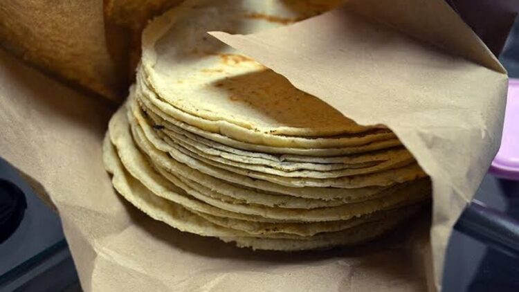 En febrero, la tortilla podría alcanzar un máximo de 30 pesos el kilo, advierten