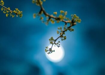 Calendario Lunar febrero 2023: así afectarán a los signos del zodiaco las etapas lunares