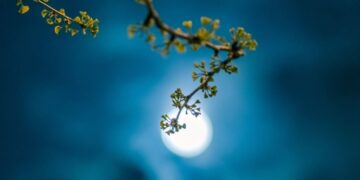 Calendario Lunar febrero 2023: así afectarán a los signos del zodiaco las etapas lunares