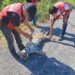 Encuentran a jaguar muerto en la carretera Soto la Marina – La Pesca