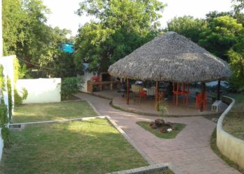 Actualizan el padrón de palapas campestres en Victoria
