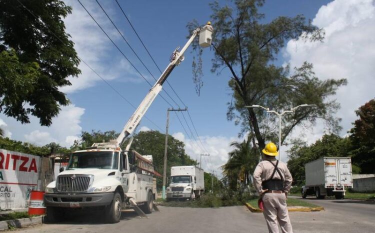 Exhortan a la CFE y ayuntamientos podar árboles para evitar accidentes