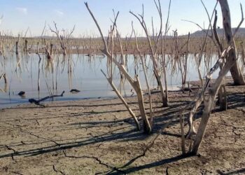 Alarma a campesinos la falta de agua en la región