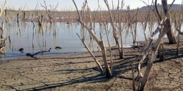 Alarma a campesinos la falta de agua en la región