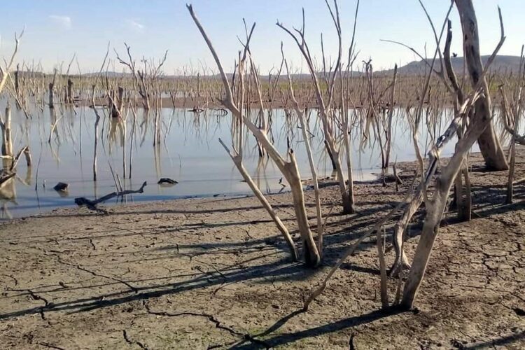 Alarma a campesinos la falta de agua en la región