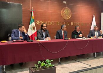 Garantizada la seguridad en Tamaulipas para la elección del domingo: Américo