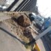 Mueren oficiales federales al chocar contra el tren