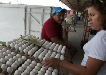 Huevo alcanza ya $120 la tapa en algunos comercios