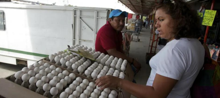 Huevo alcanza ya $120 la tapa en algunos comercios