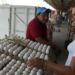 Huevo alcanza ya $120 la tapa en algunos comercios
