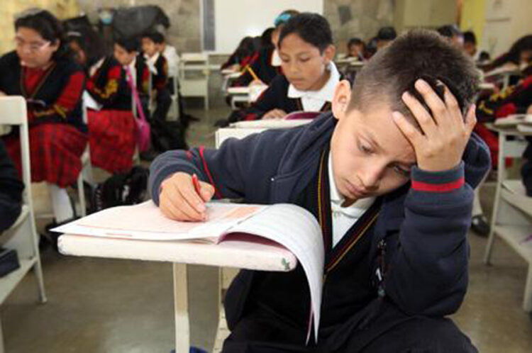 Mayoría de egresados de primaria no comprenden textos sencillos
