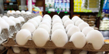 Economía de México va de mal en peor, advierte líder antorchista