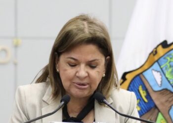 Licencias de financiamiento a comercios son impagables: Diputada