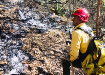 Protección Civil, CONAFOR vy habitantes unen esfuerzos para contención de incendio forestal en Miquihuana