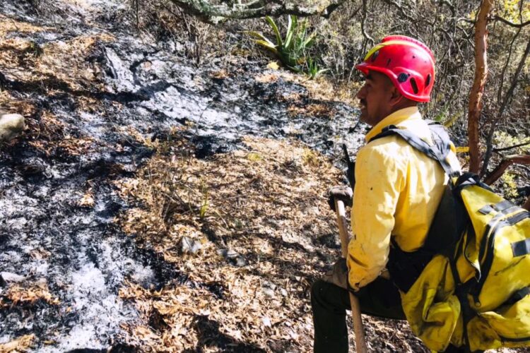Protección Civil, CONAFOR vy habitantes unen esfuerzos para contención de incendio forestal en Miquihuana