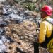 Protección Civil, CONAFOR vy habitantes unen esfuerzos para contención de incendio forestal en Miquihuana