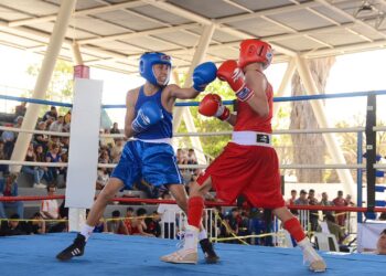 Armaron selección de box