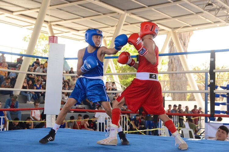 Armaron selección de box