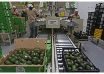 Crece 44% comercio agroalimentario entre México EU