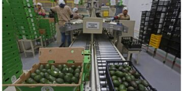 Crece 44% comercio agroalimentario entre México EU