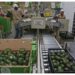 Crece 44% comercio agroalimentario entre México EU