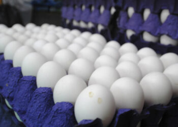 Comienza a escasear el huevo en la capital, tapa podría costar hasta $120 pesos