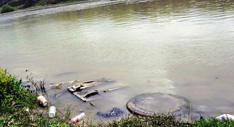 En el Río Purificación abunda las garrapatas y basura