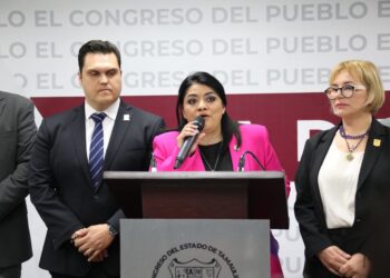 Ignoró PAN hechos delictivos en su gobierno, MORENA busca enderezar el barco: Diputada Úrsula Salazar