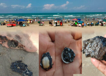 Playas de Tamaulipas están contaminadas por petroleo,Protección Civil ignora el tema.