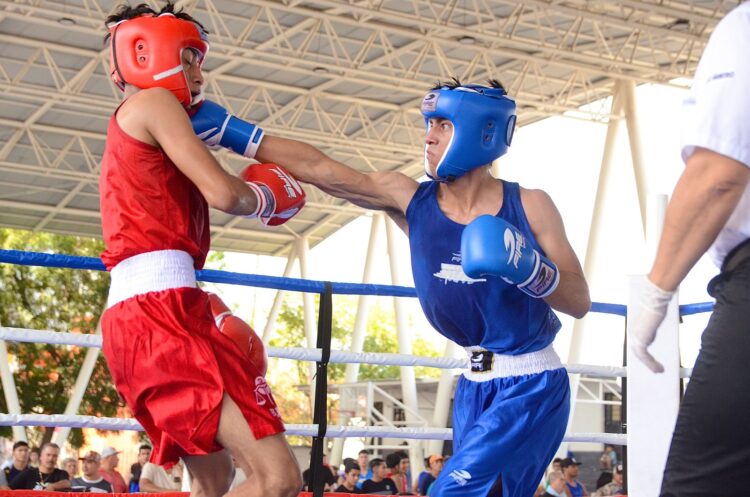 Van pugilistas al Regional