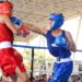 Van pugilistas al Regional