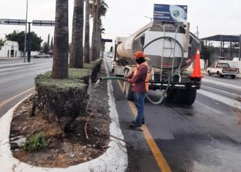 Tamaulipas aplica programa emergente de riego en áreas verdes con aguas tratadas