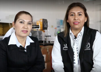 Explora la UAT potencial terapéutico y biotecnológico de abejas sin aguijón