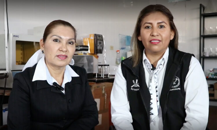 Explora la UAT potencial terapéutico y biotecnológico de abejas sin aguijón