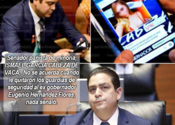 Son unos Cínicos y rateros.